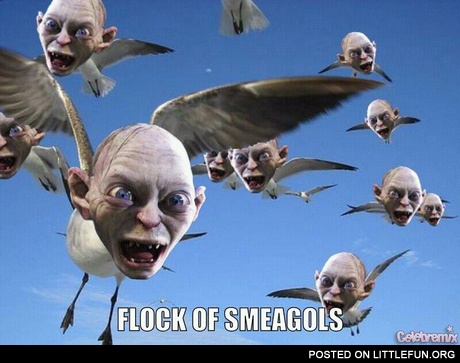 Flock of smeagols