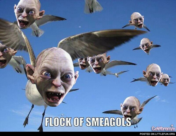 Flock of smeagols