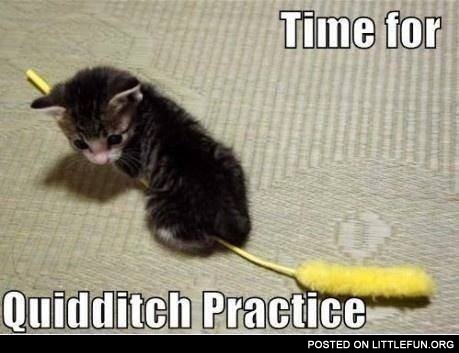 Time for quidditch practice