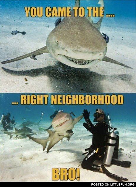 You came to the right neighborhood, bro!