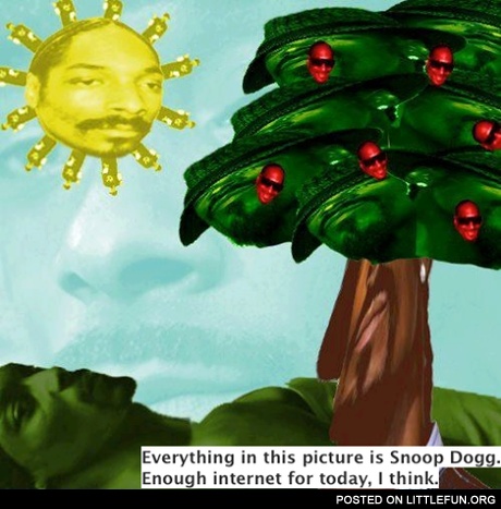 Everything in this picture is Snoop Dog