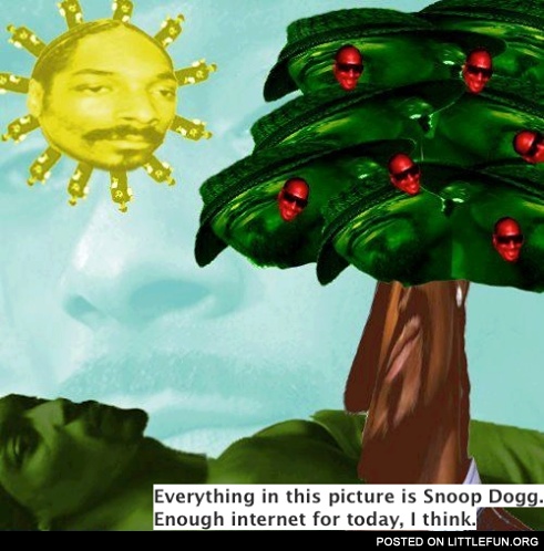 Everything in this picture is Snoop Dog
