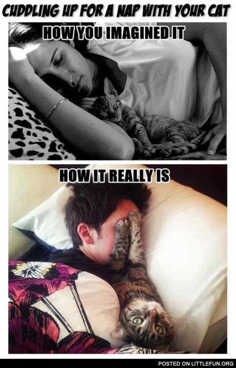Expectations vs. Reality