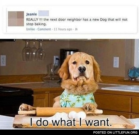 Baking dog