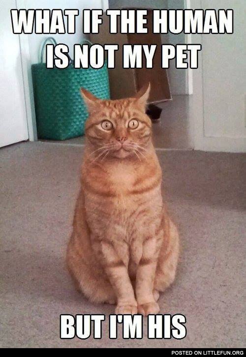 What if the human is not my pet