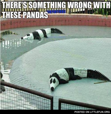 Crocodile pandas