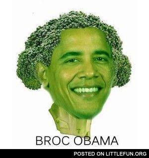 Broc Obama