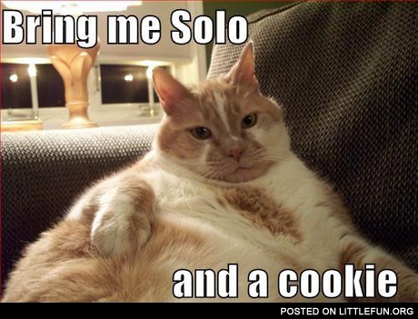 Fat cat