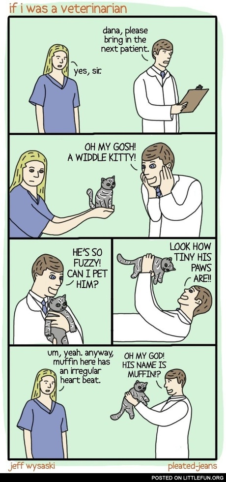 If I was a veterinarian