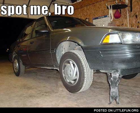 Spot me, bro