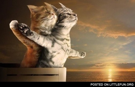 Catanic