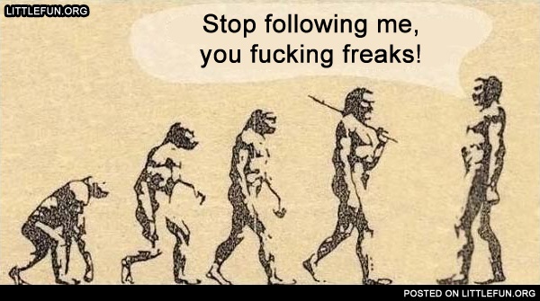 Stop following me, freaks