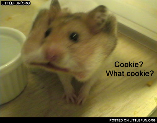 Cookie? What cookie?