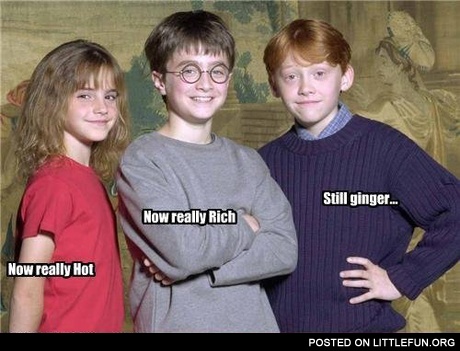 Still ginger