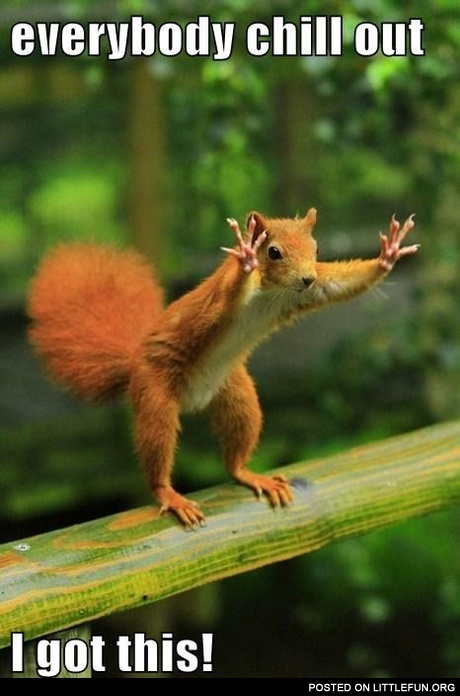 Chill out squirrel