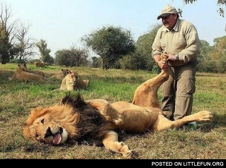 Lion massage