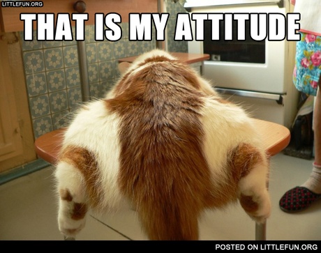 That is my attitude
