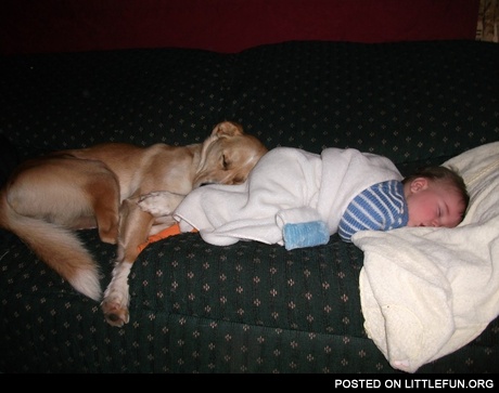 Sleeping kingdom