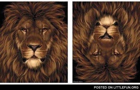 Double pic