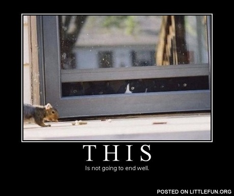 Cat hunter