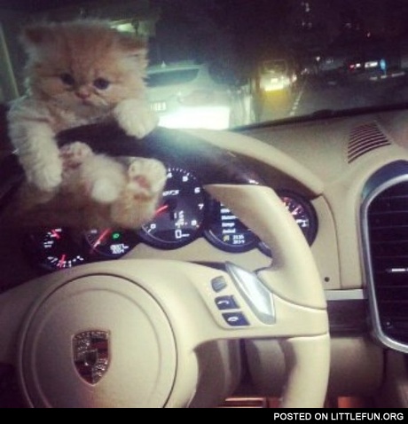 P*ssy in the Porsche