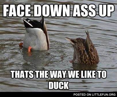 Thats the way we like duck