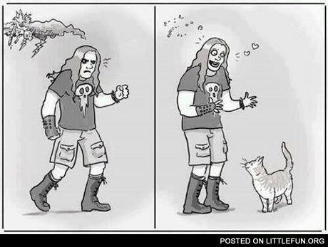 Heavy metal and kitty