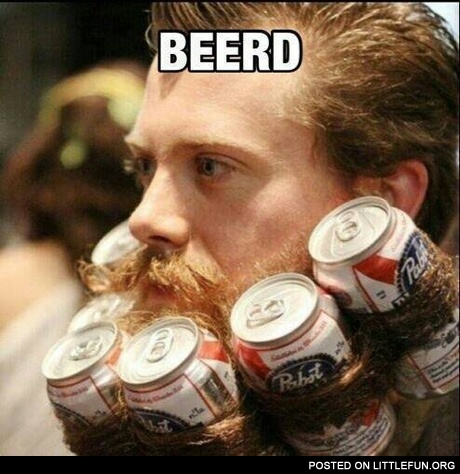 Beerd