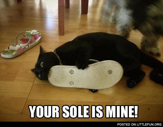 Your sole is mine