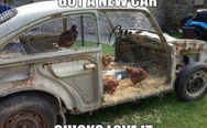 Get a new car, chicks love it