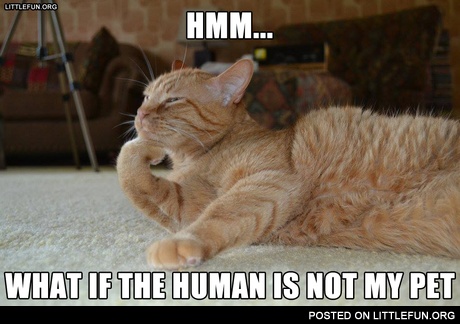 Hmm... What if the human is not my pet