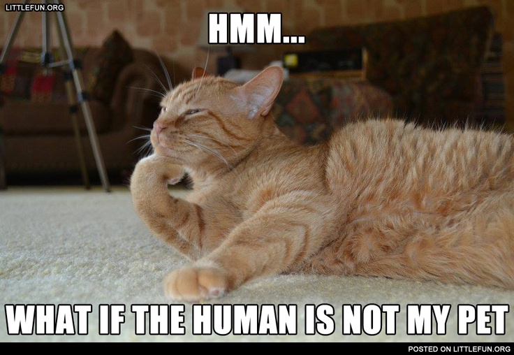 Hmm... What if the human is not my pet