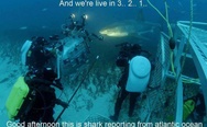 This is shark reporting from Atlantic Ocean