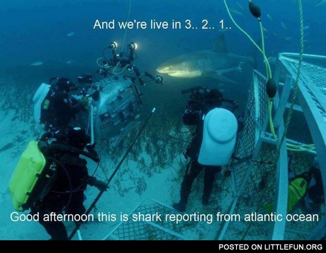 This is shark reporting from Atlantic Ocean