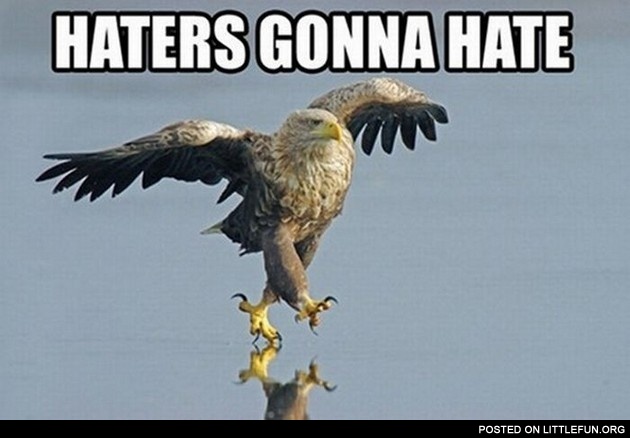 Haters gonna hate. Eagle.