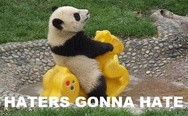 Haters gonna hate. Panda.