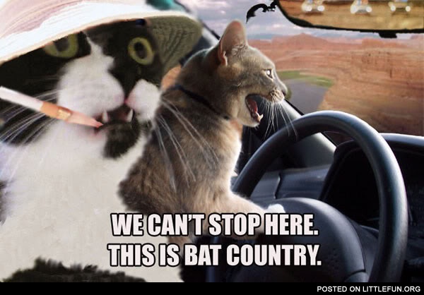 This is bat country