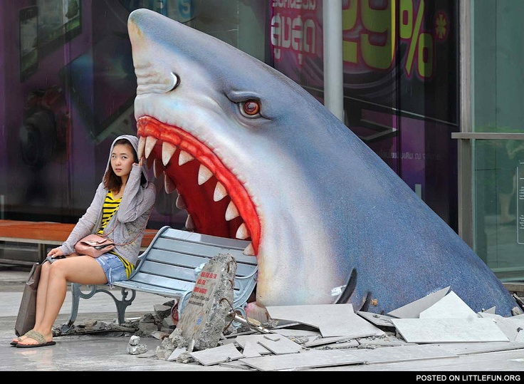Shark bench