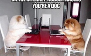On the internet nobody knows you're a dog