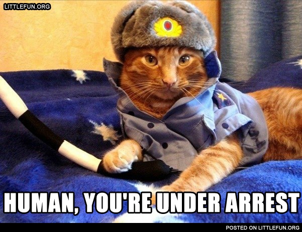 Human, you're under arrest