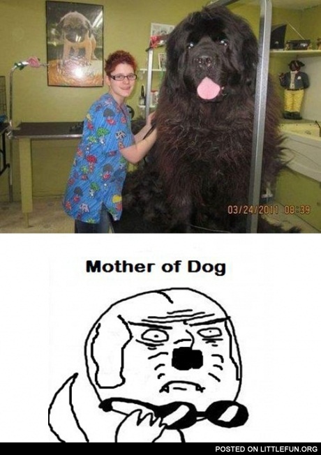 Mother of dog