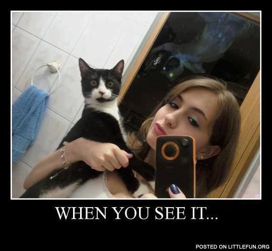 Cat obviously saw