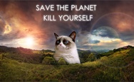 Grumpy cat gives you advice