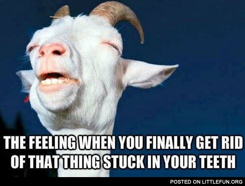 That awesome feeling