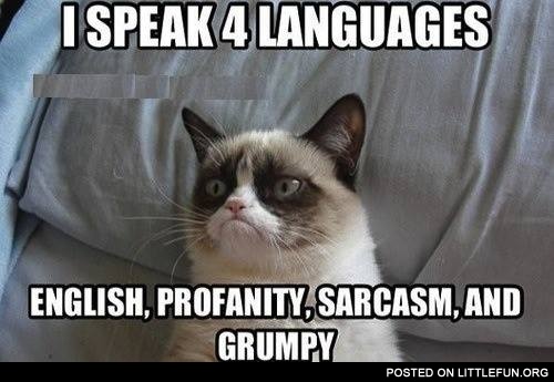 Grumpy cat speaks 4 languages
