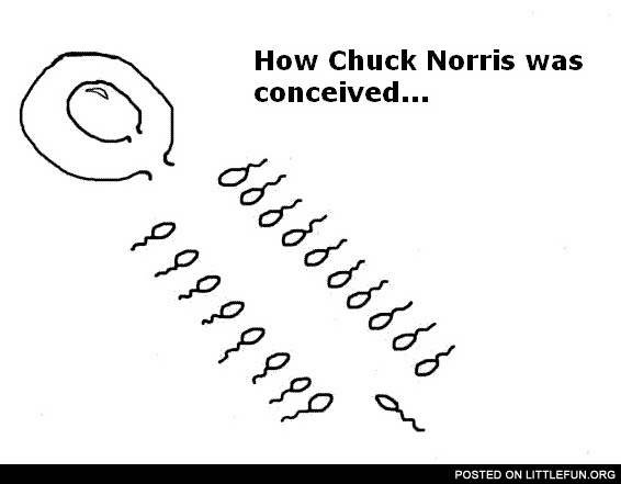 How Chuck Norris was conceived