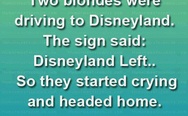 Disneyland left