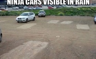 Ninja cars