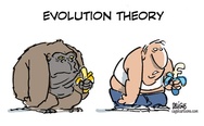 Evolution theory