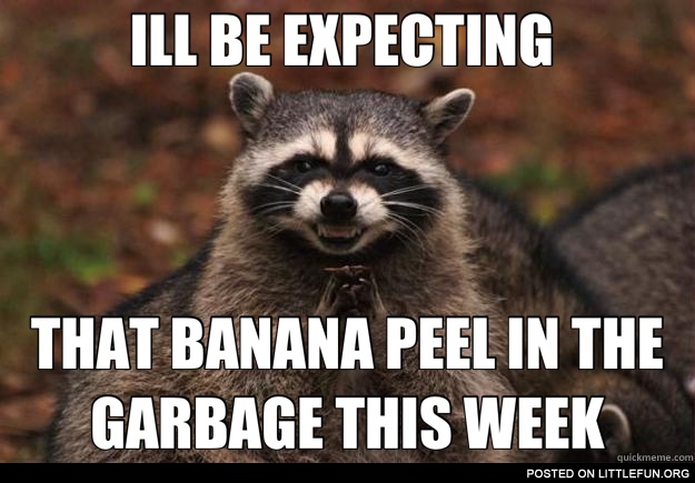 Evil raccoon is expecting